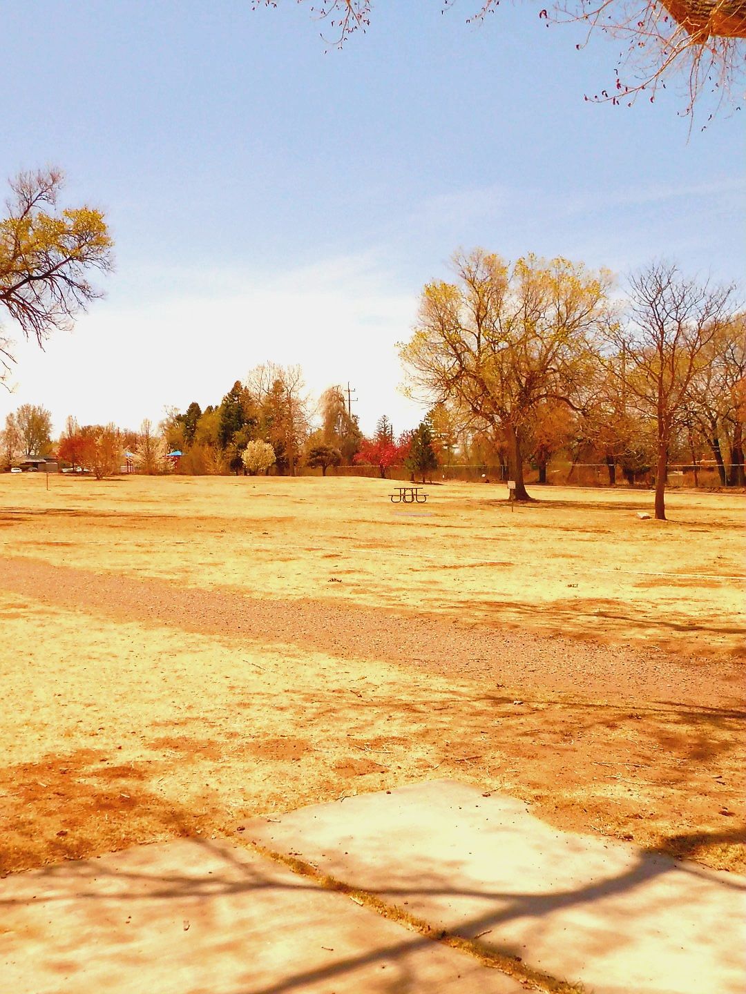 LG Mixed course Tee #8