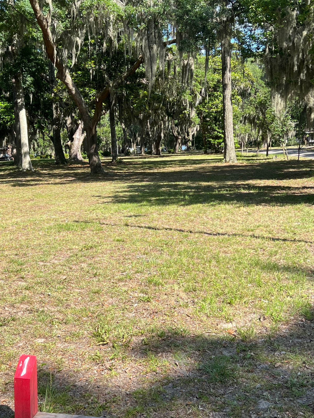 Red 1 tee, looking at basket.