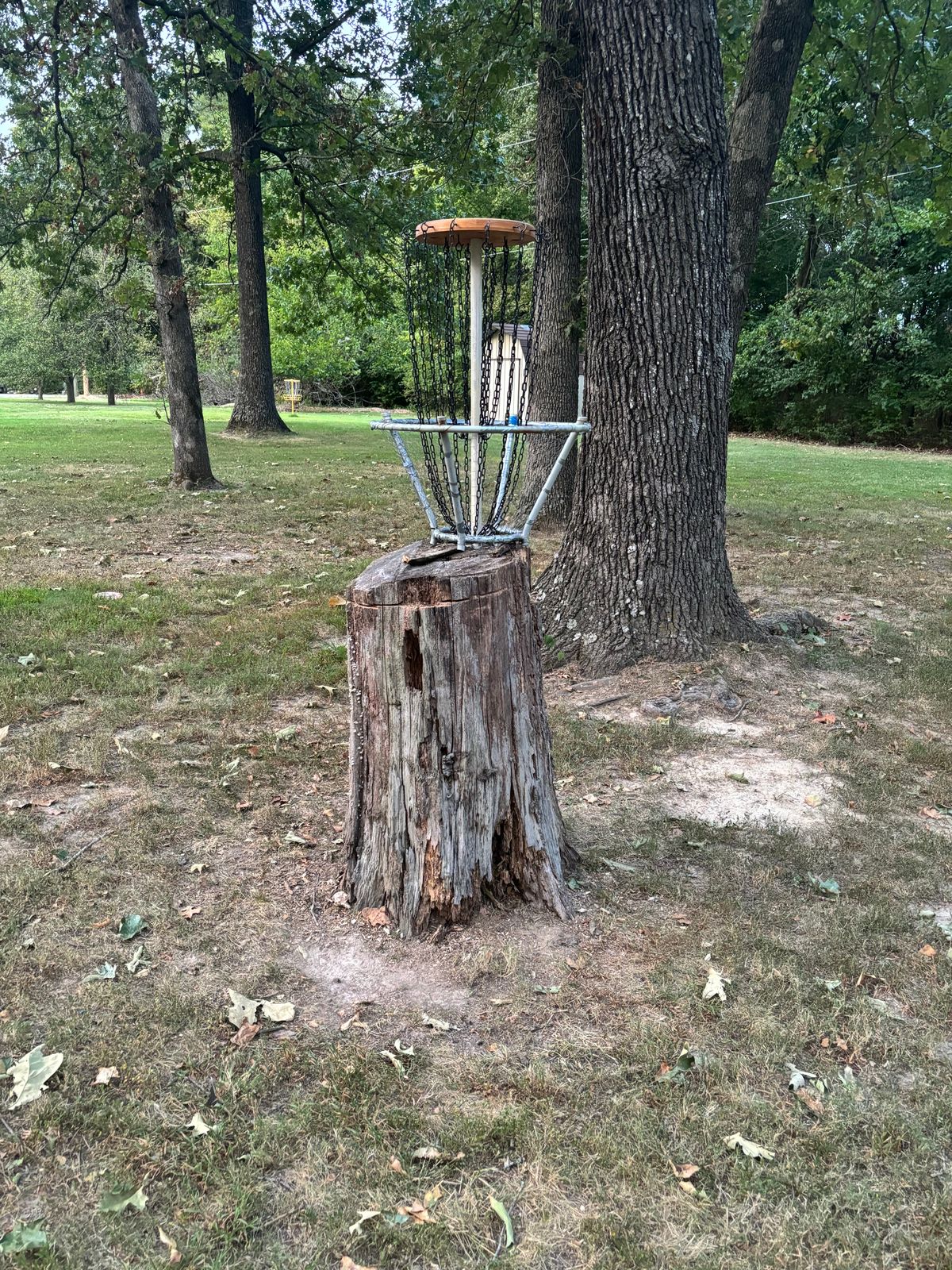 Basket I built