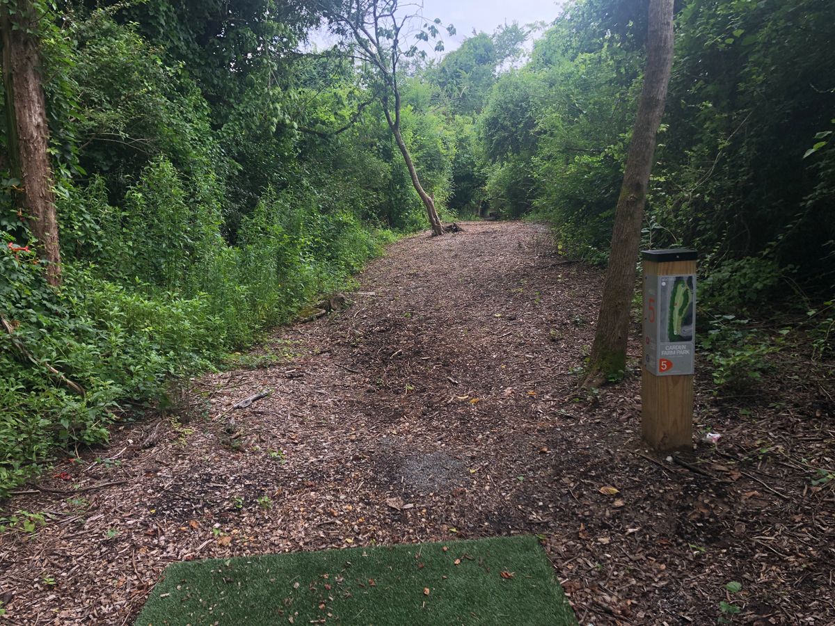 Strait cut through the forest. Yes, you need to be careful but no where as bad as people say