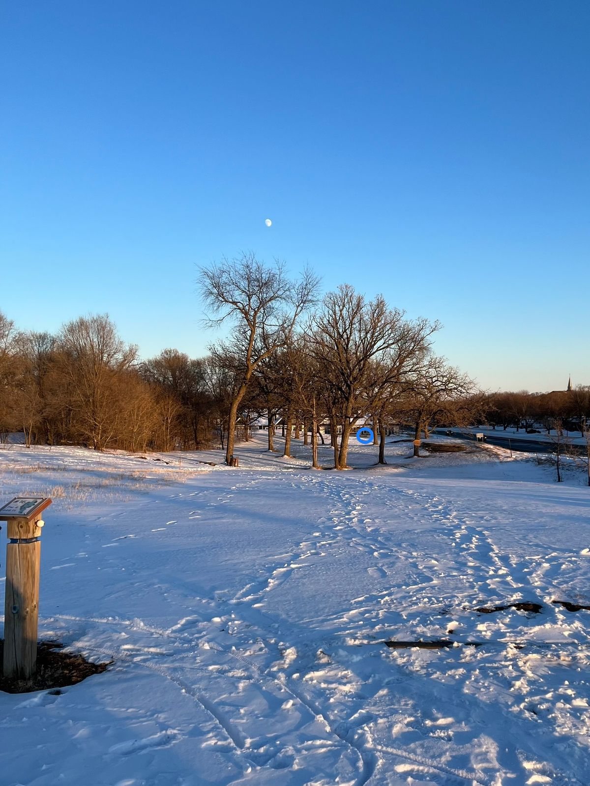 16 - winter moon rise
