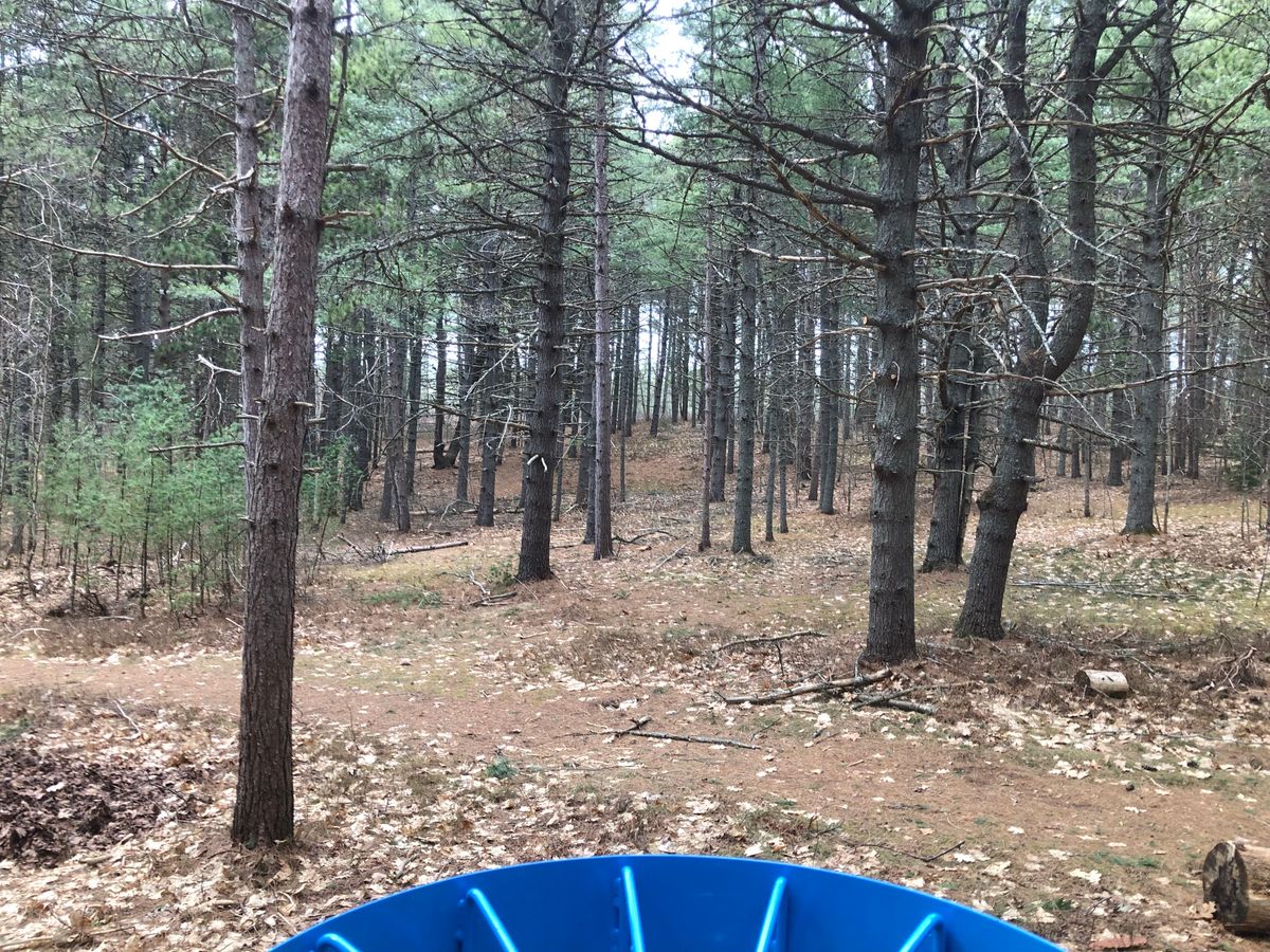 Great lines through the woods