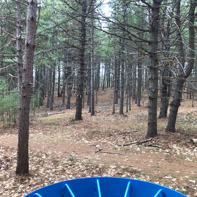 Great lines through the woods