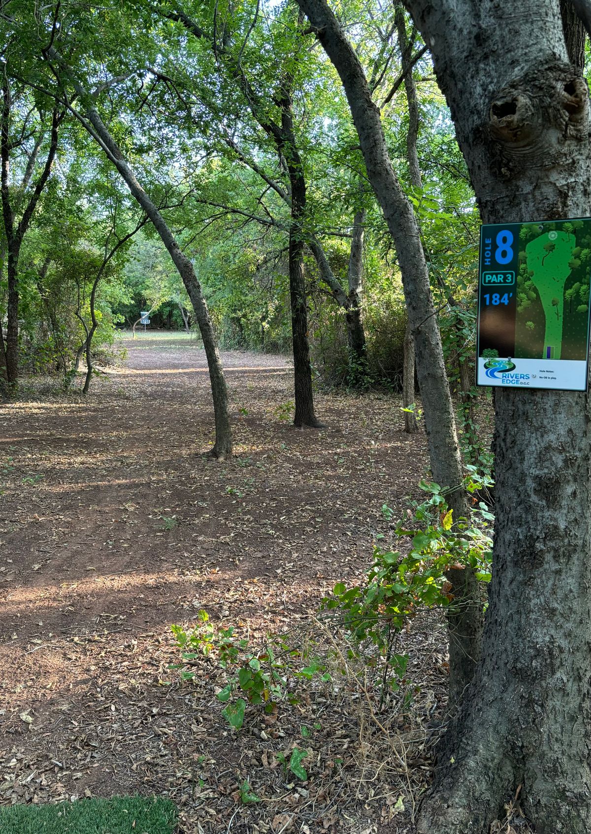 Hole 8 teebox