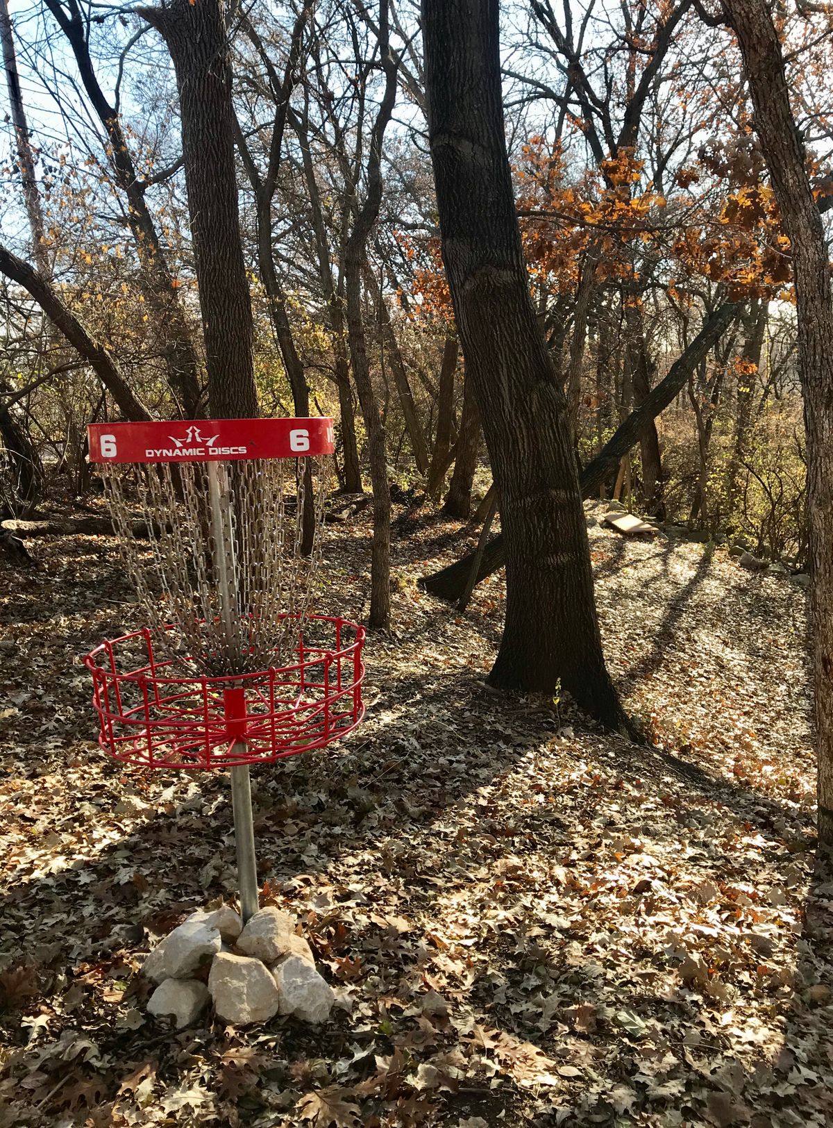 Hole 6 Basket to Tee