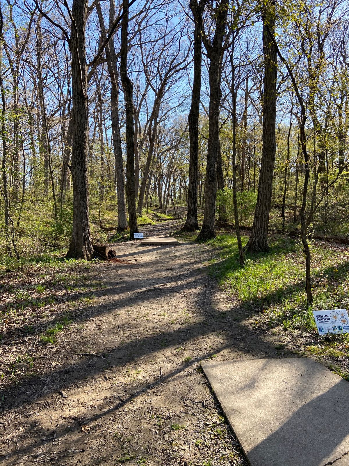 Hole 4. 271 feet uphill. Tight shot at 75-100 feet through the trees.