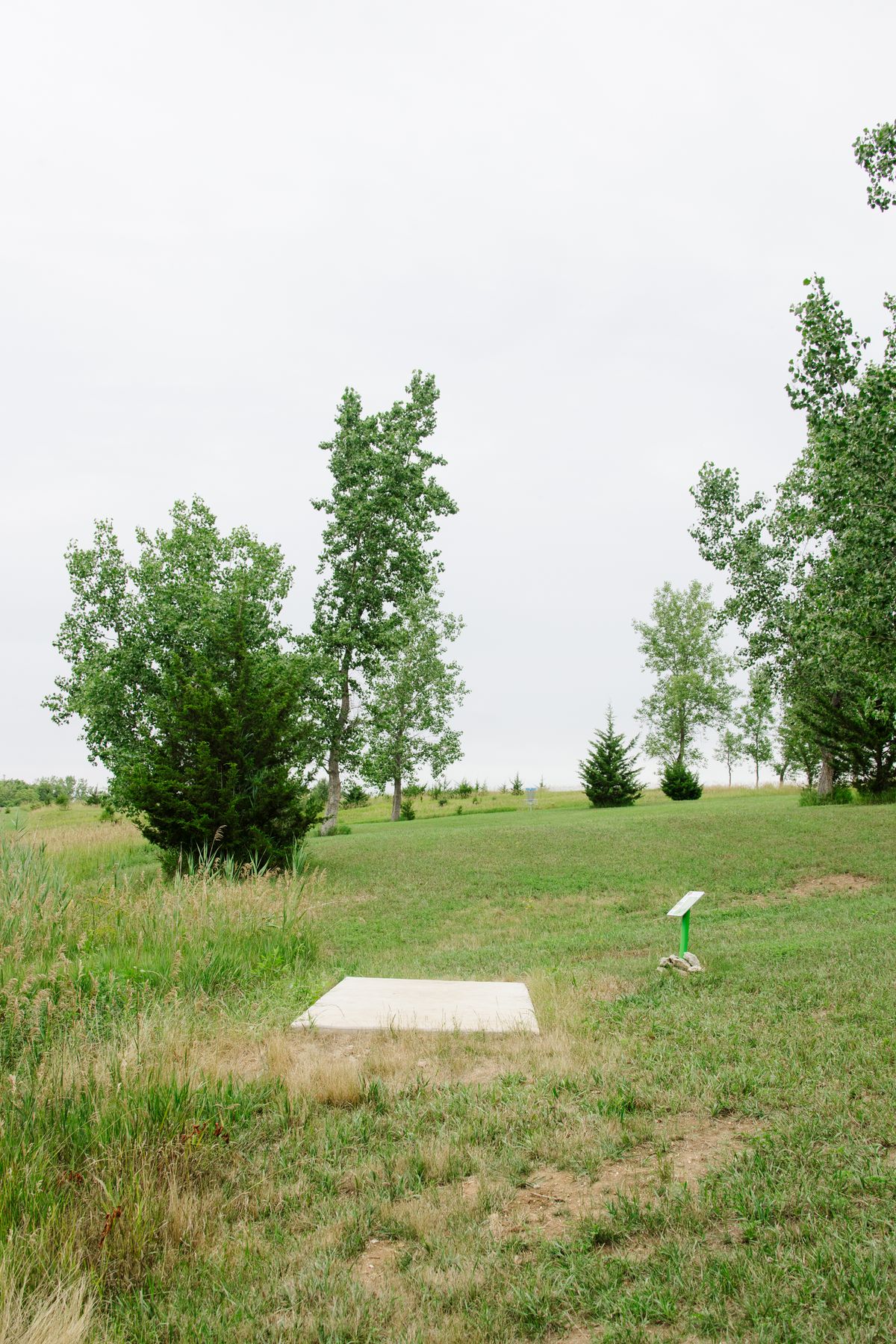 Hole 5 short tee