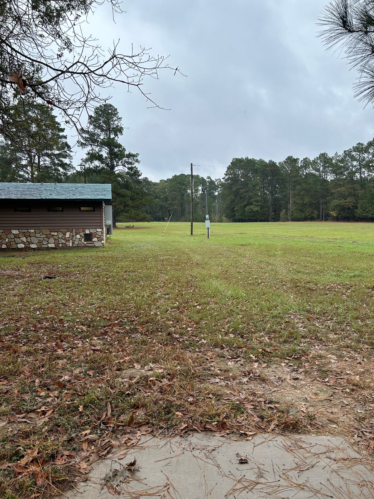 Hole 15 tee shot