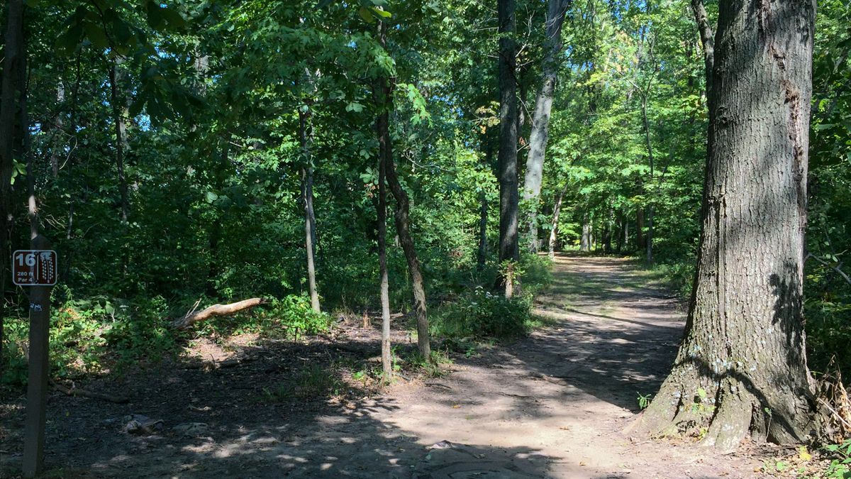 Hole 16
