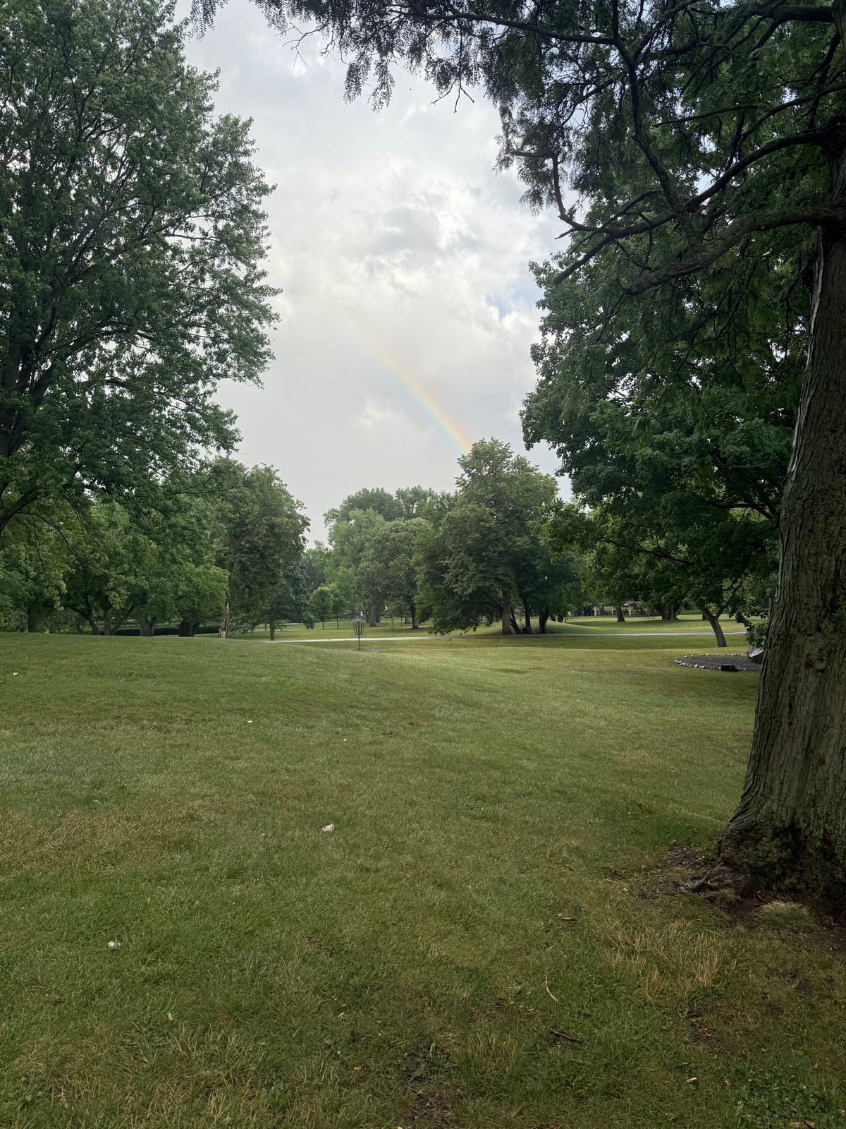 Rainbow on 15
