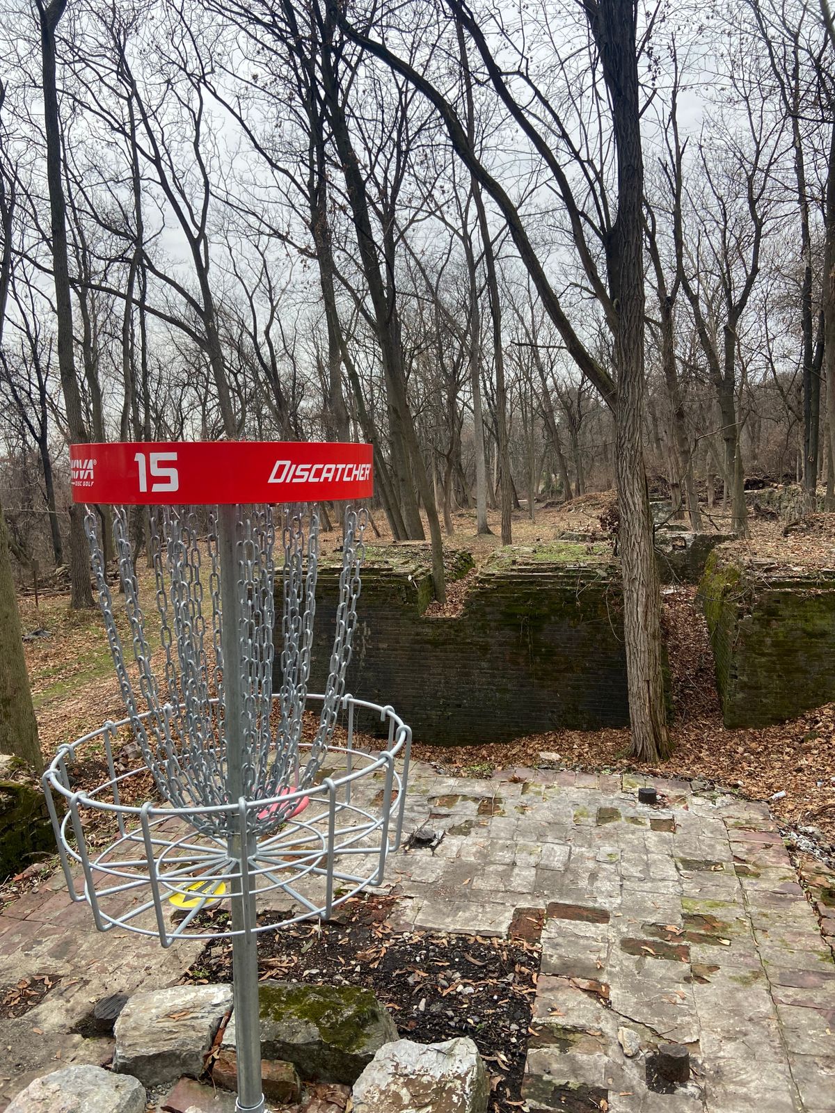 Hole 15 basket