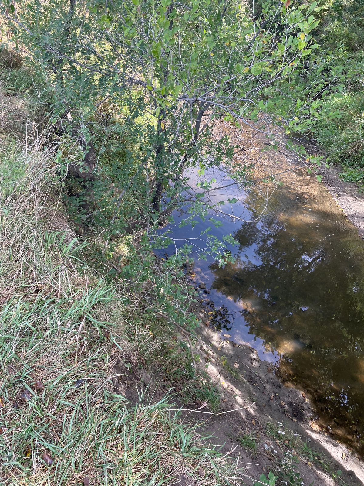 This is the drop off next to hole 7. It’s an immediate 10 ft drop. Play to the left on this hole.