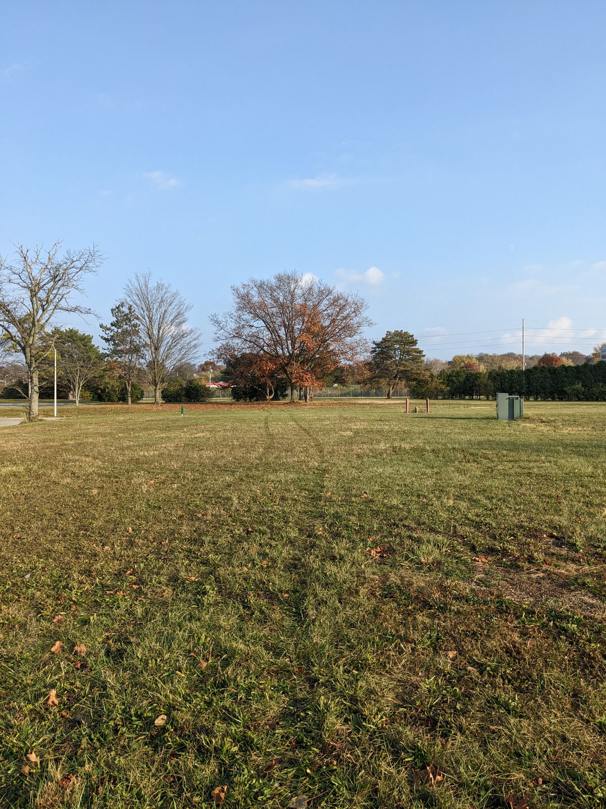 Hole 1 view from tee (red basket behind orange-leaved tree)