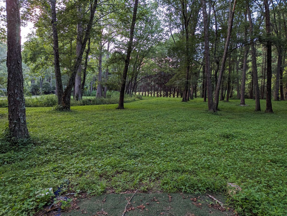 Hole 9's teepad, looking towards the basket