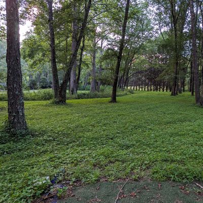 Hole 9's teepad, looking towards the basket