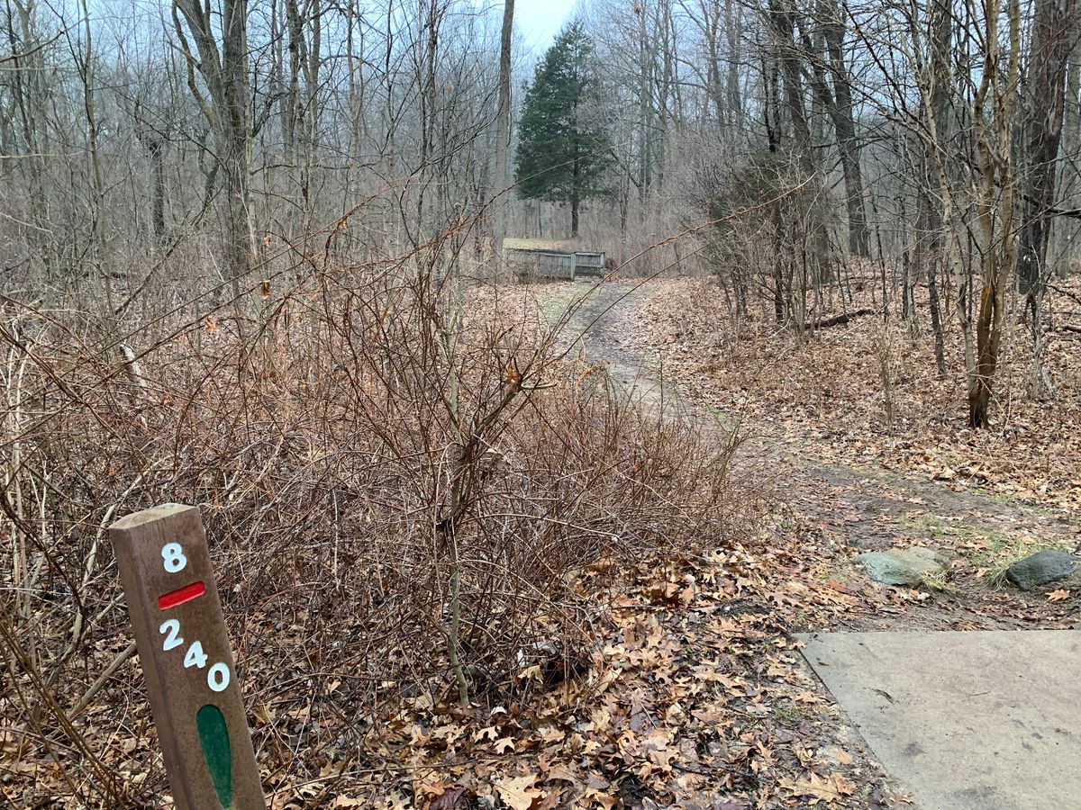 Hole 8
