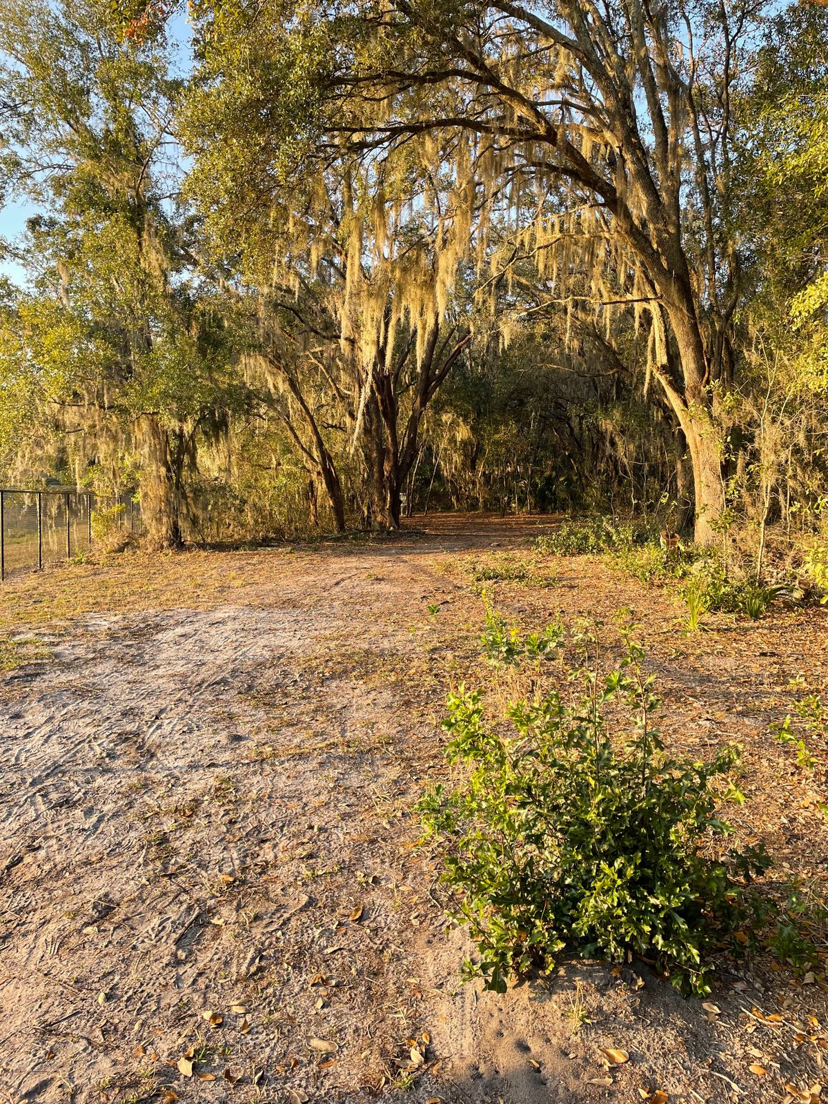 Hole 3