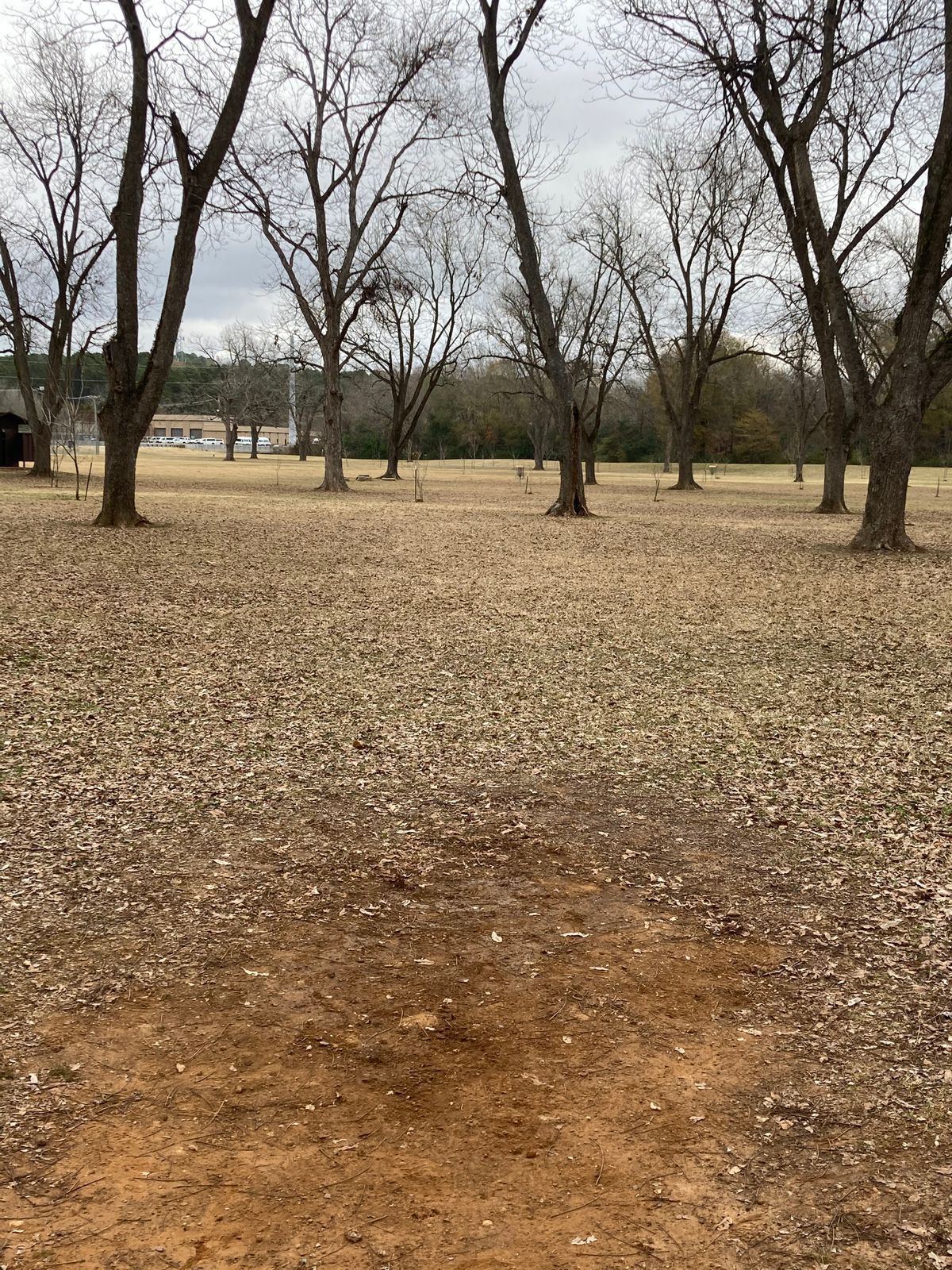 Hole 1