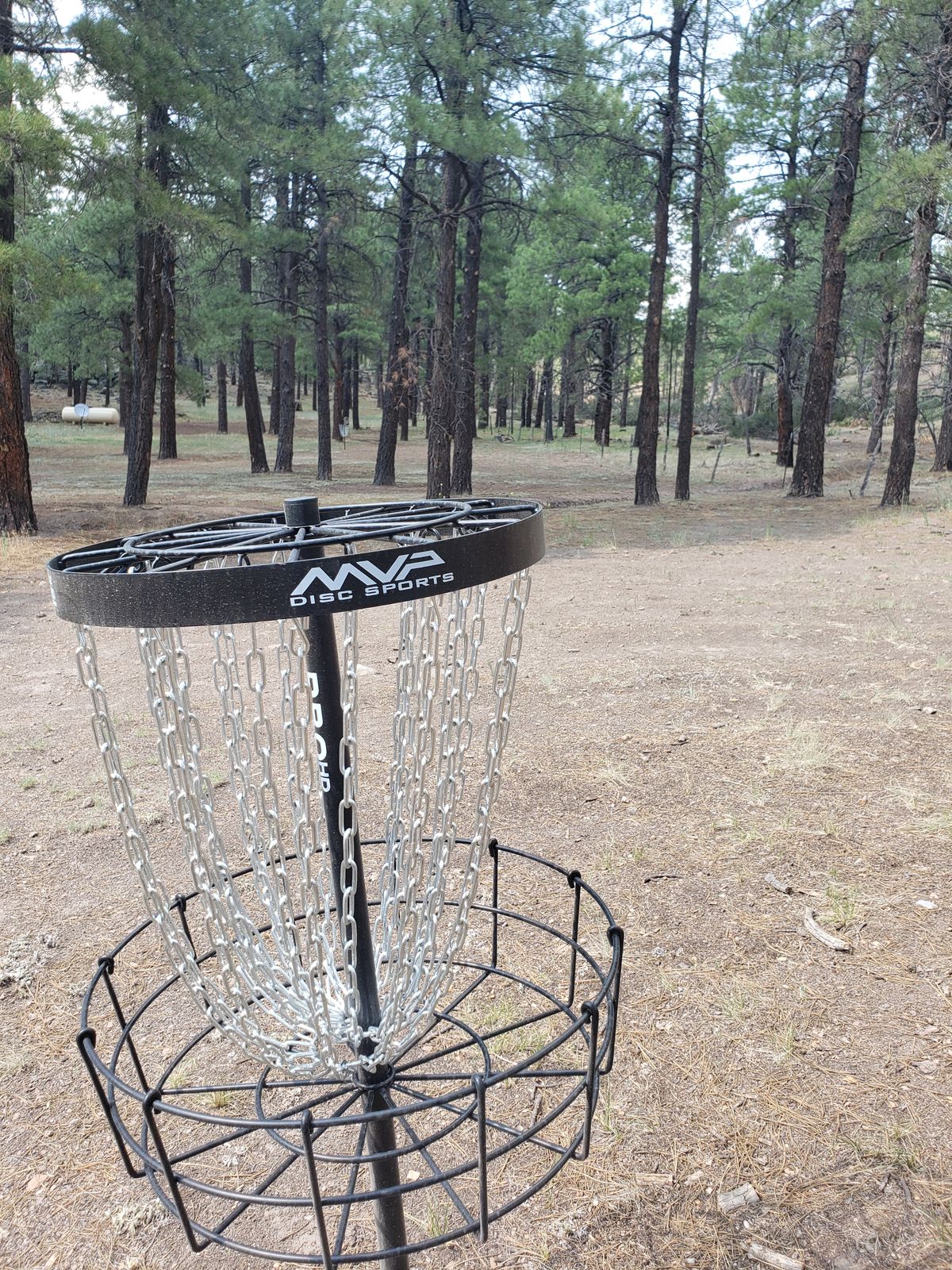 Hole 3 basket looking toward 3s Tee