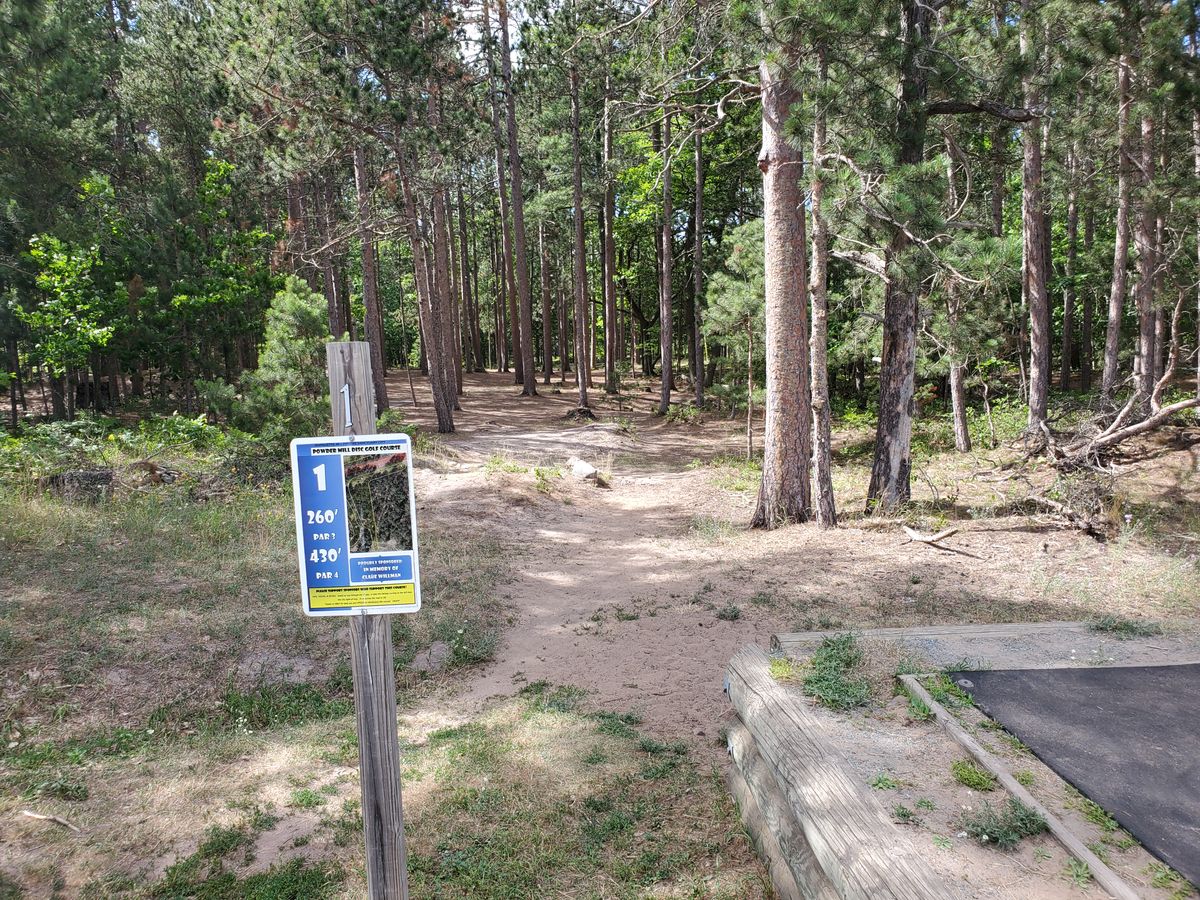 Raised tee of hole one