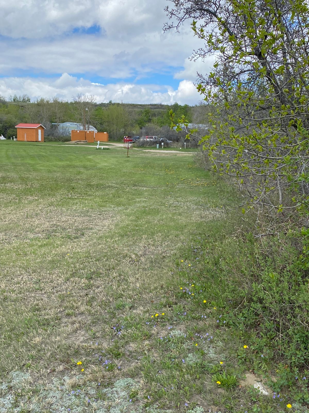 Hole 8