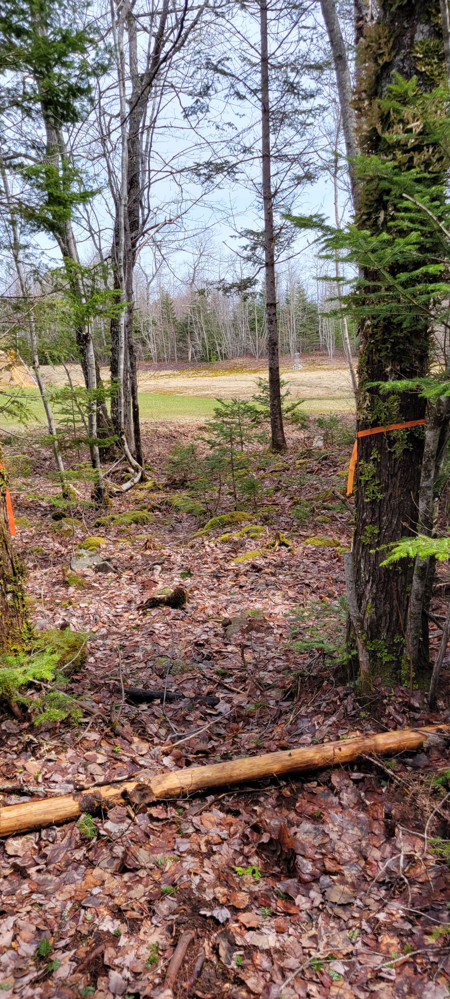 From the tee pad of hole 9