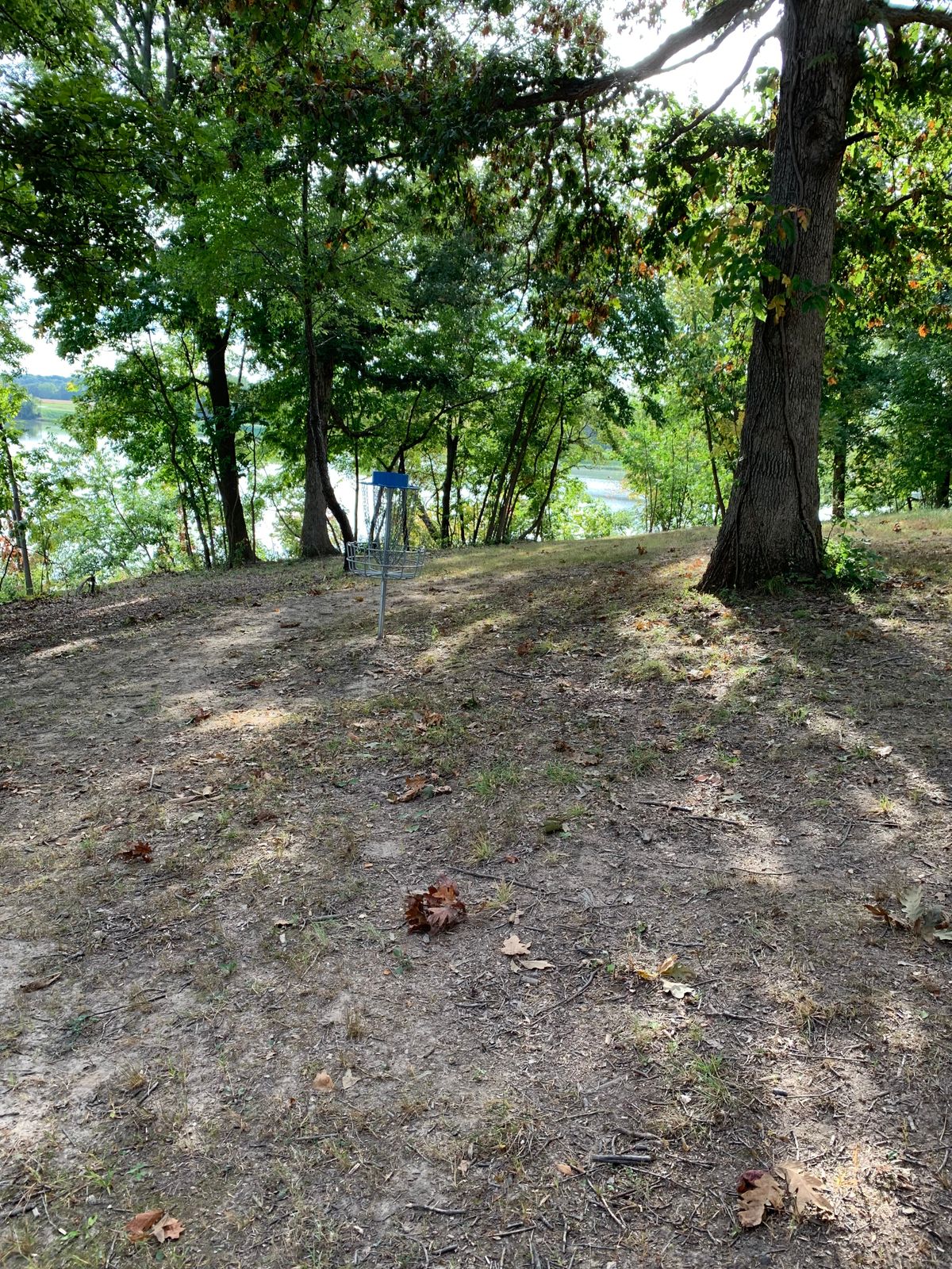 Hole 17 view behind basket