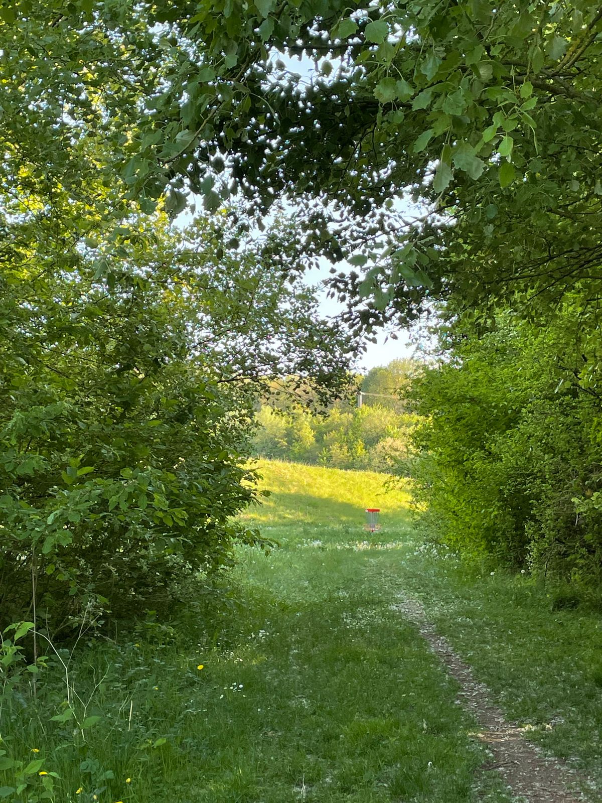 Hole 7