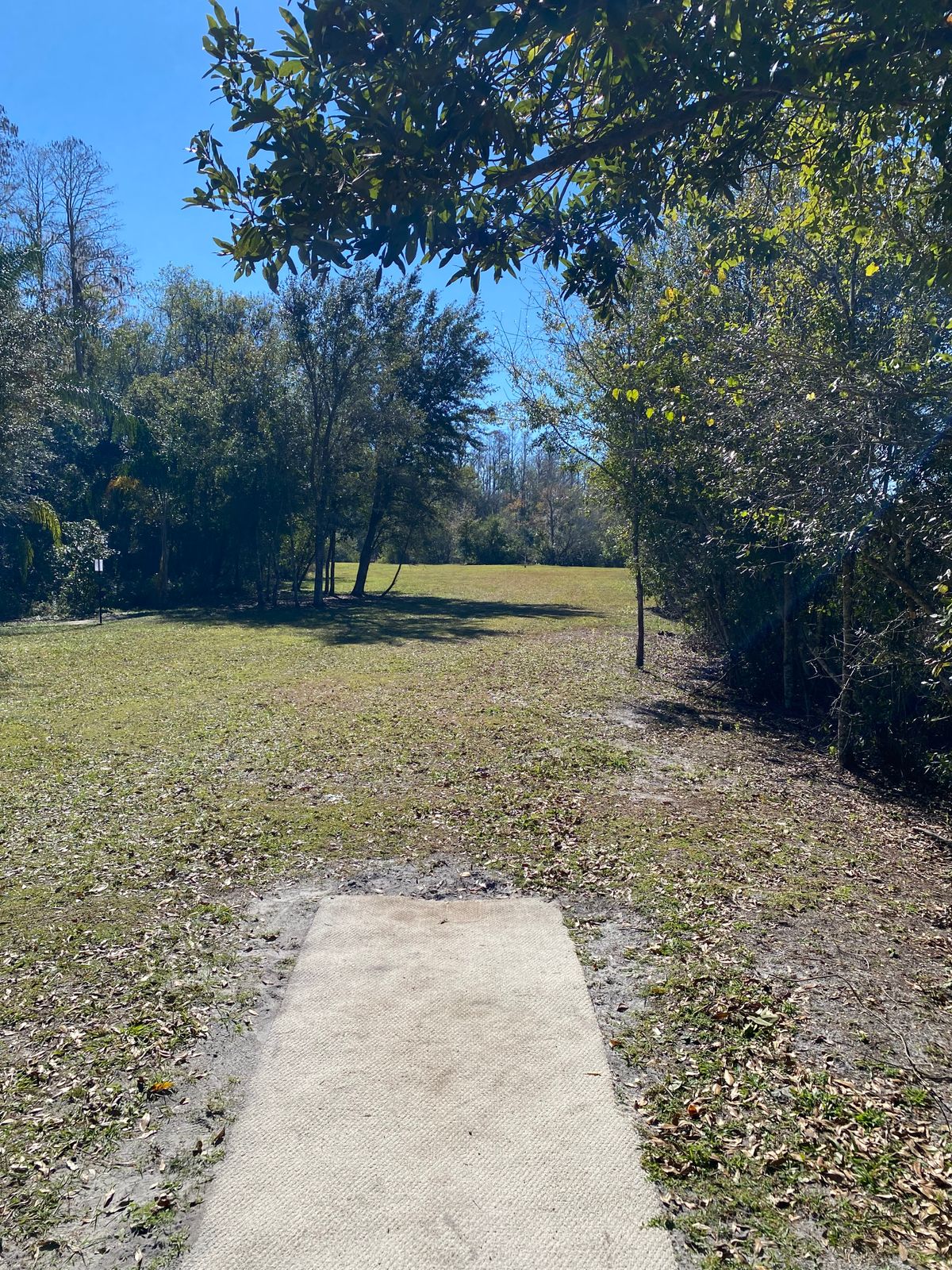 Hole 5 gold tee.