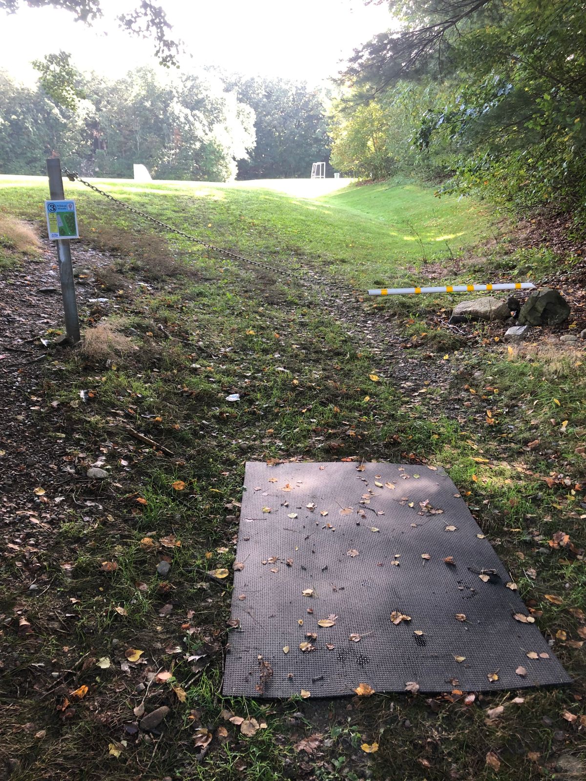 Hole 3 Tee