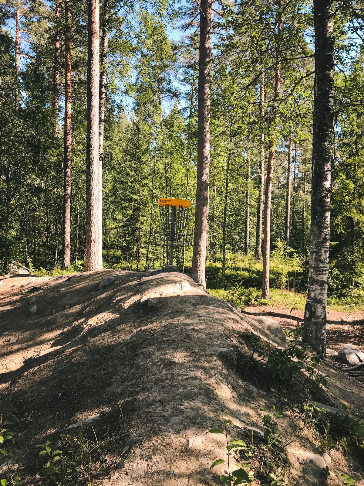 18