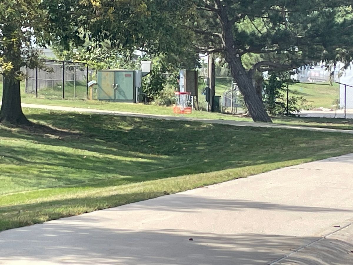 Basket for hole 6 (and 15)