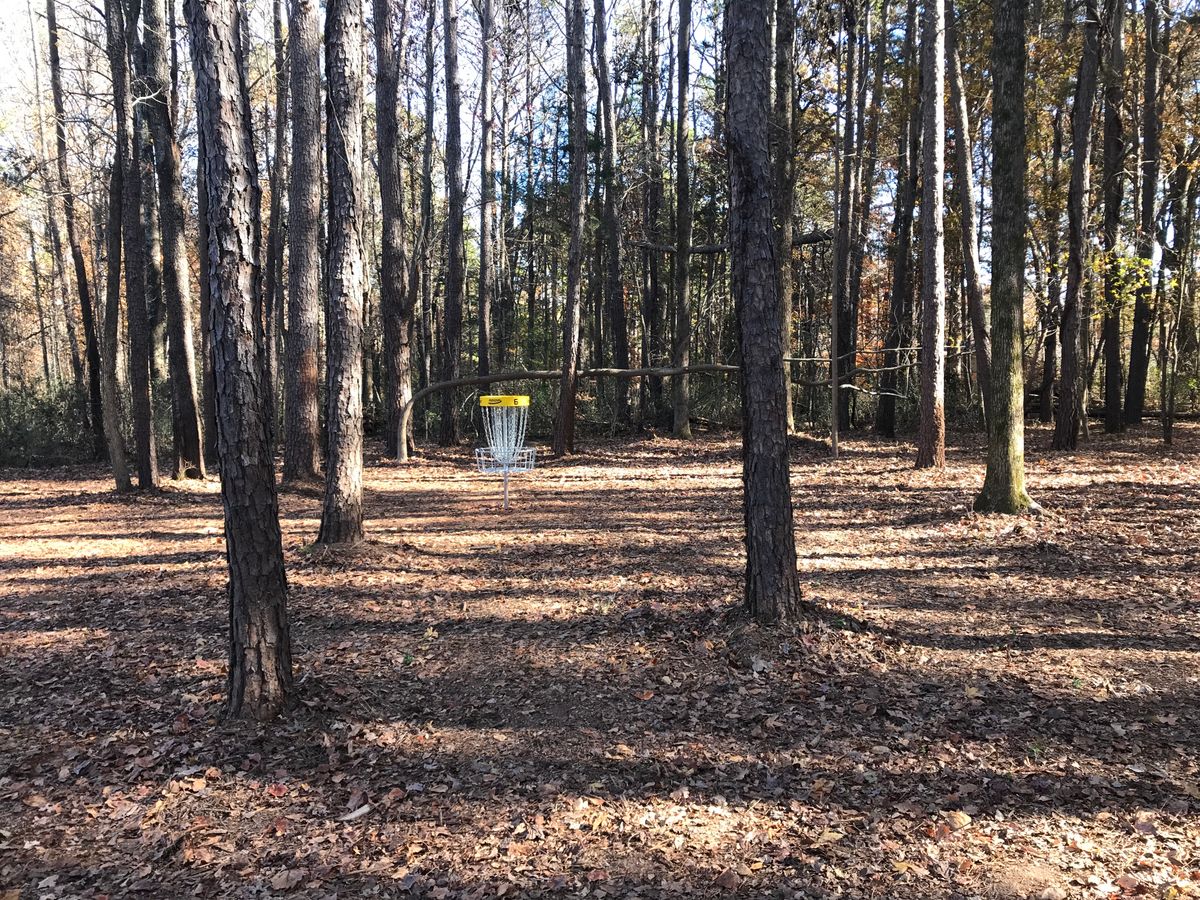 Hole 6 basket
