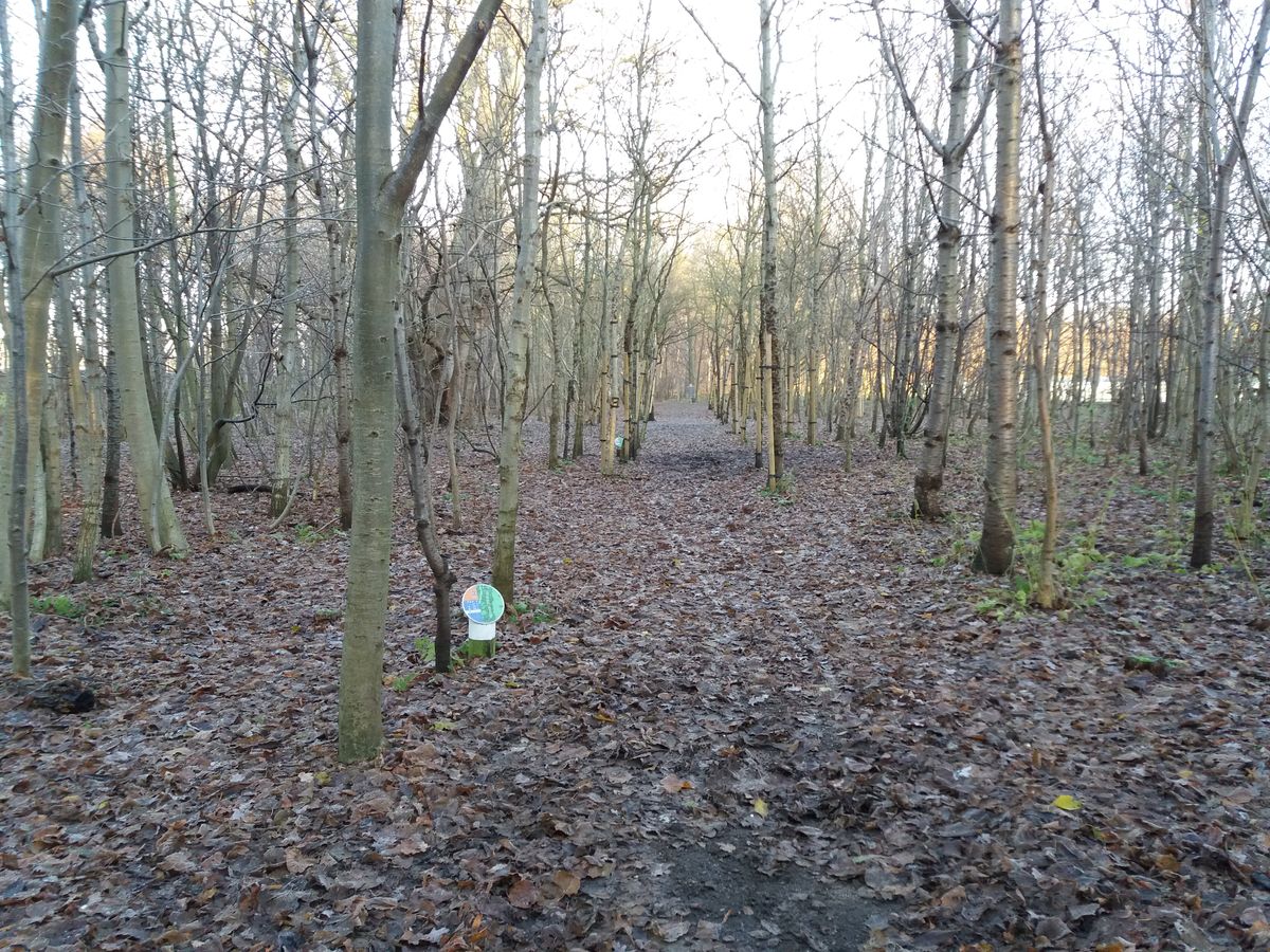Hole 3 (pinba