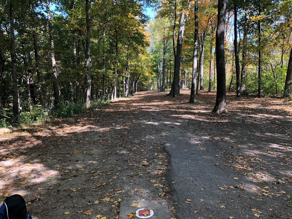 many holes are similar just more of a dog leg or shorter