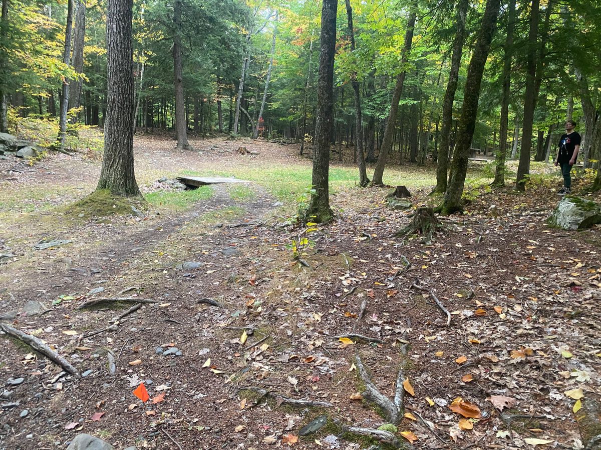 Half way up hole 4, short tee for kids and beginners