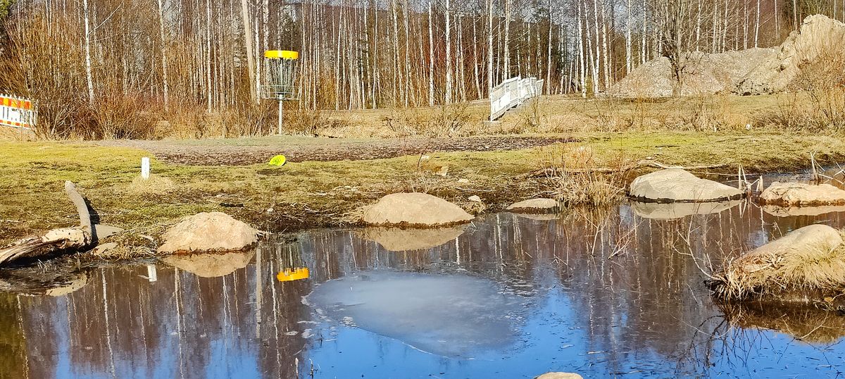 Hole #12 March/2025
