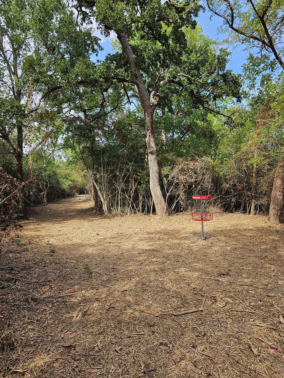 Hole 5 Backwards