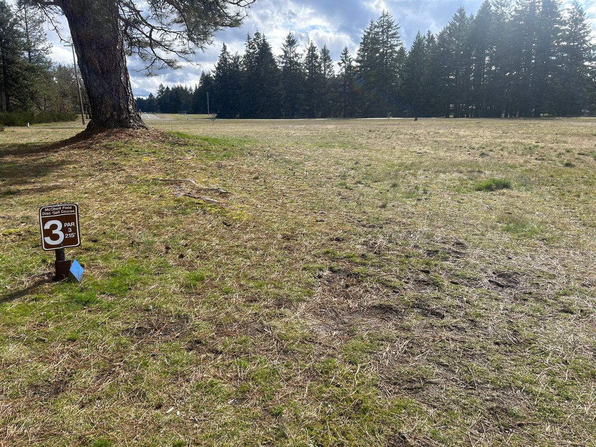Hole 3 Tee