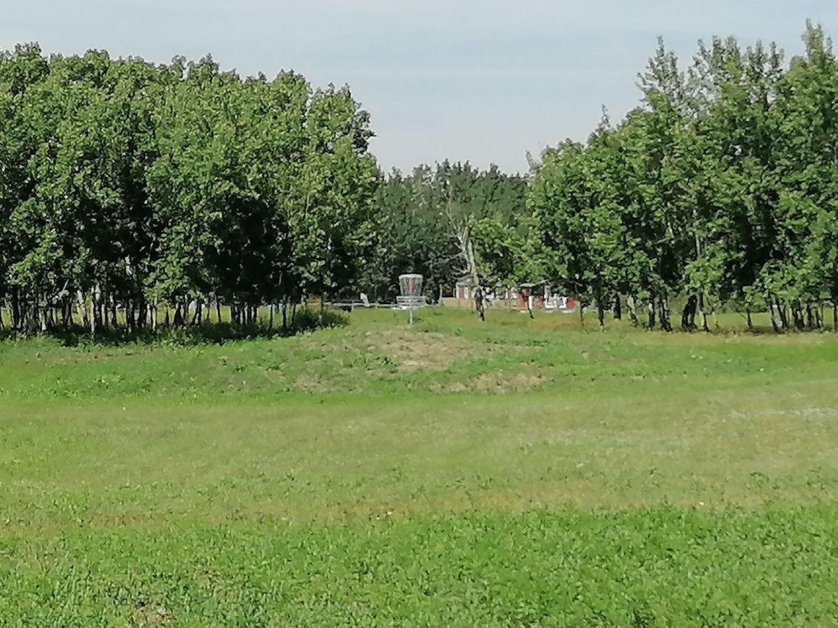 #18 green