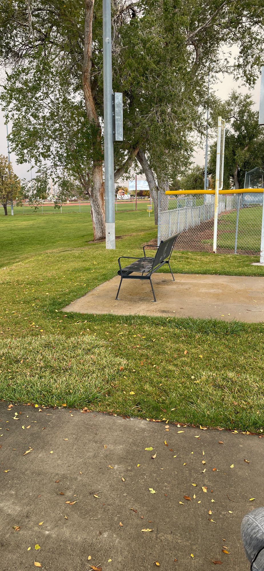 Hole 7