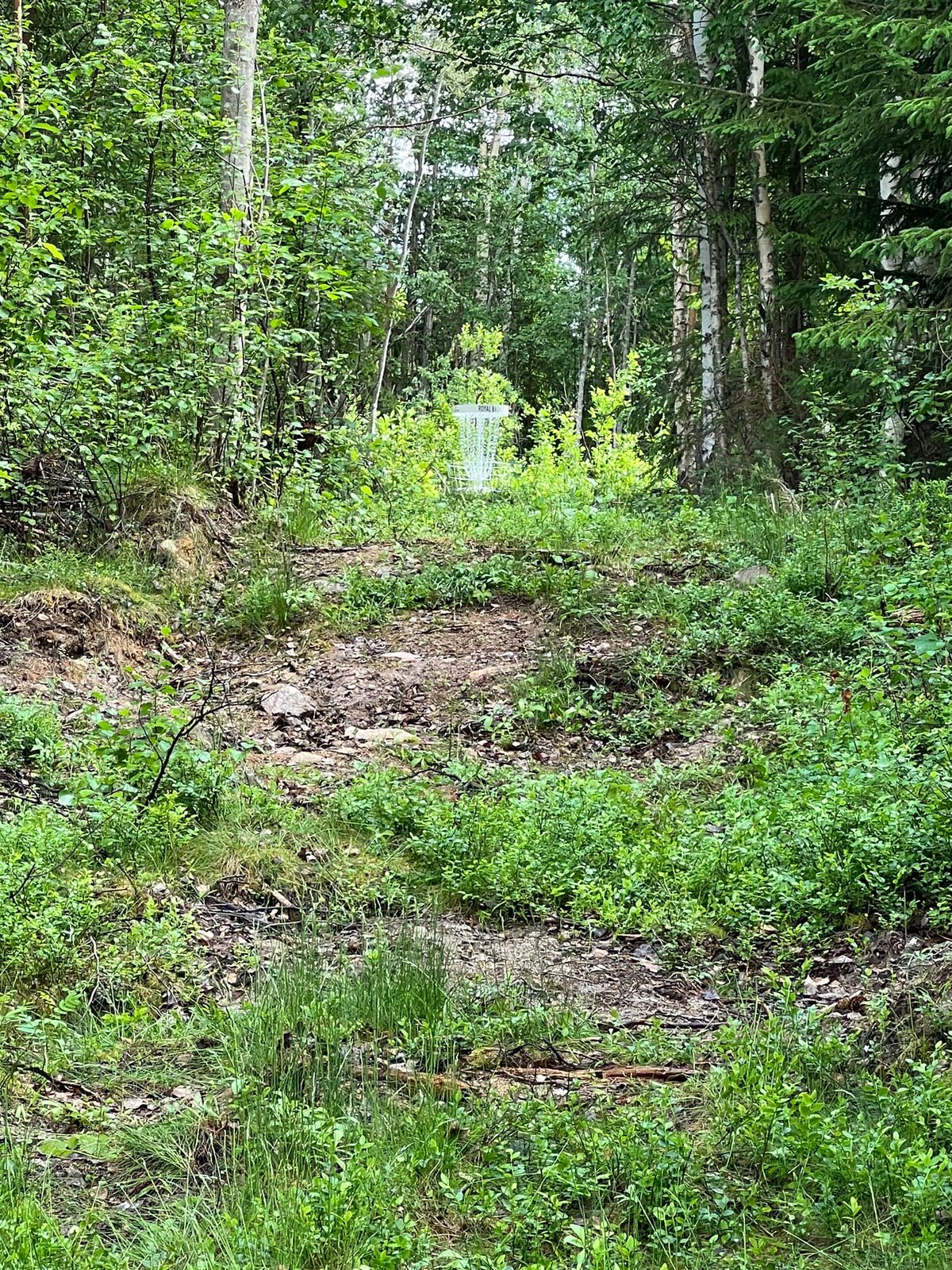 Hål 6