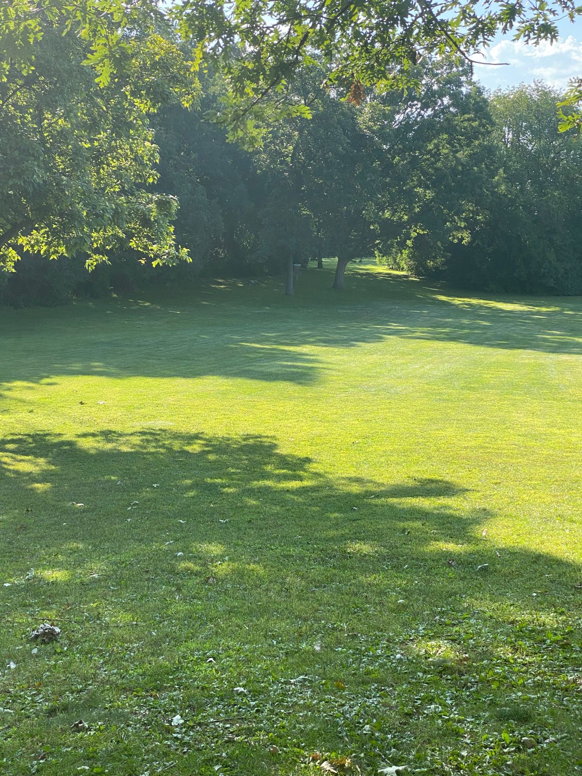 Hole 9 from the tee pad.