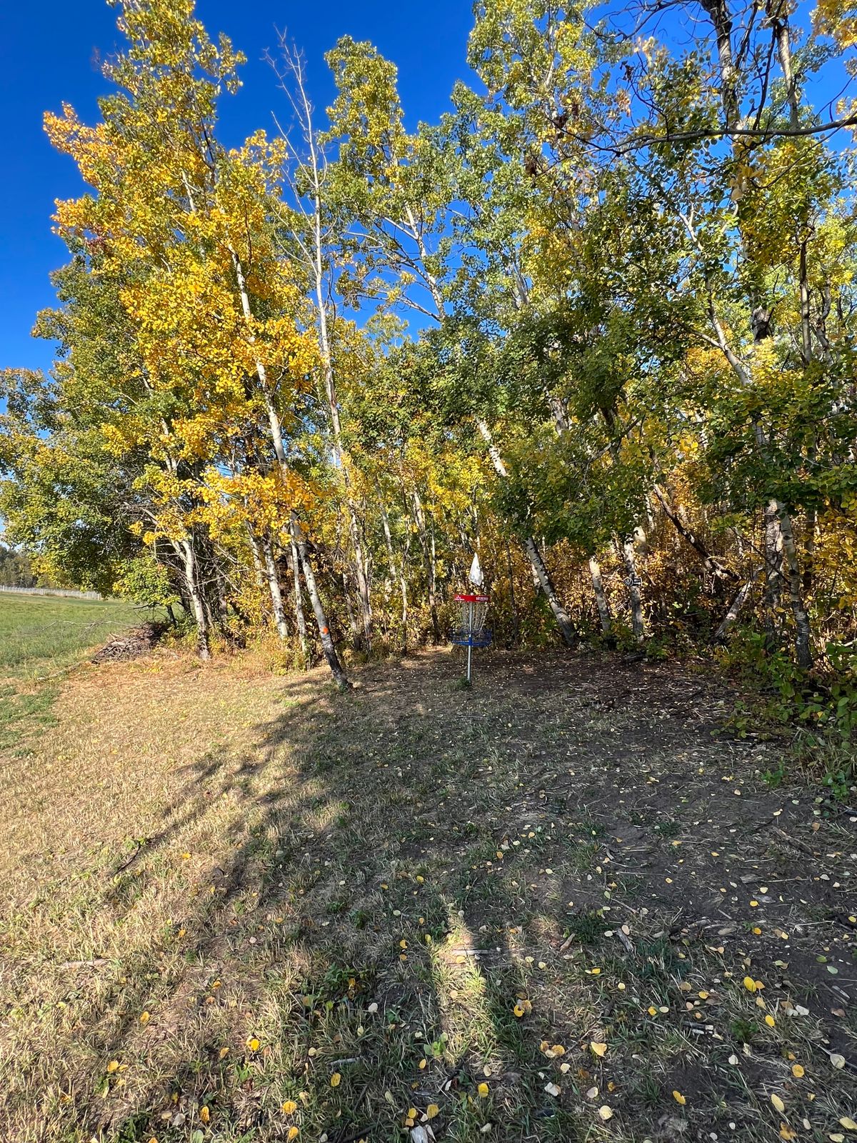 Hole 10 Green