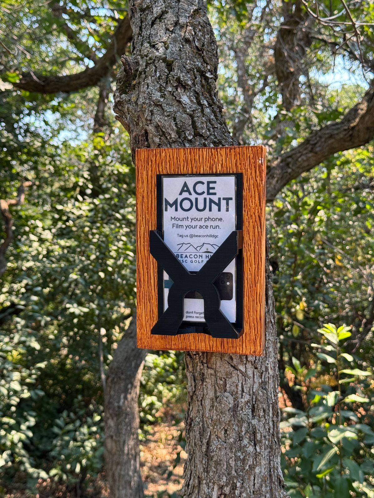 Hole 14 - Ace Mount