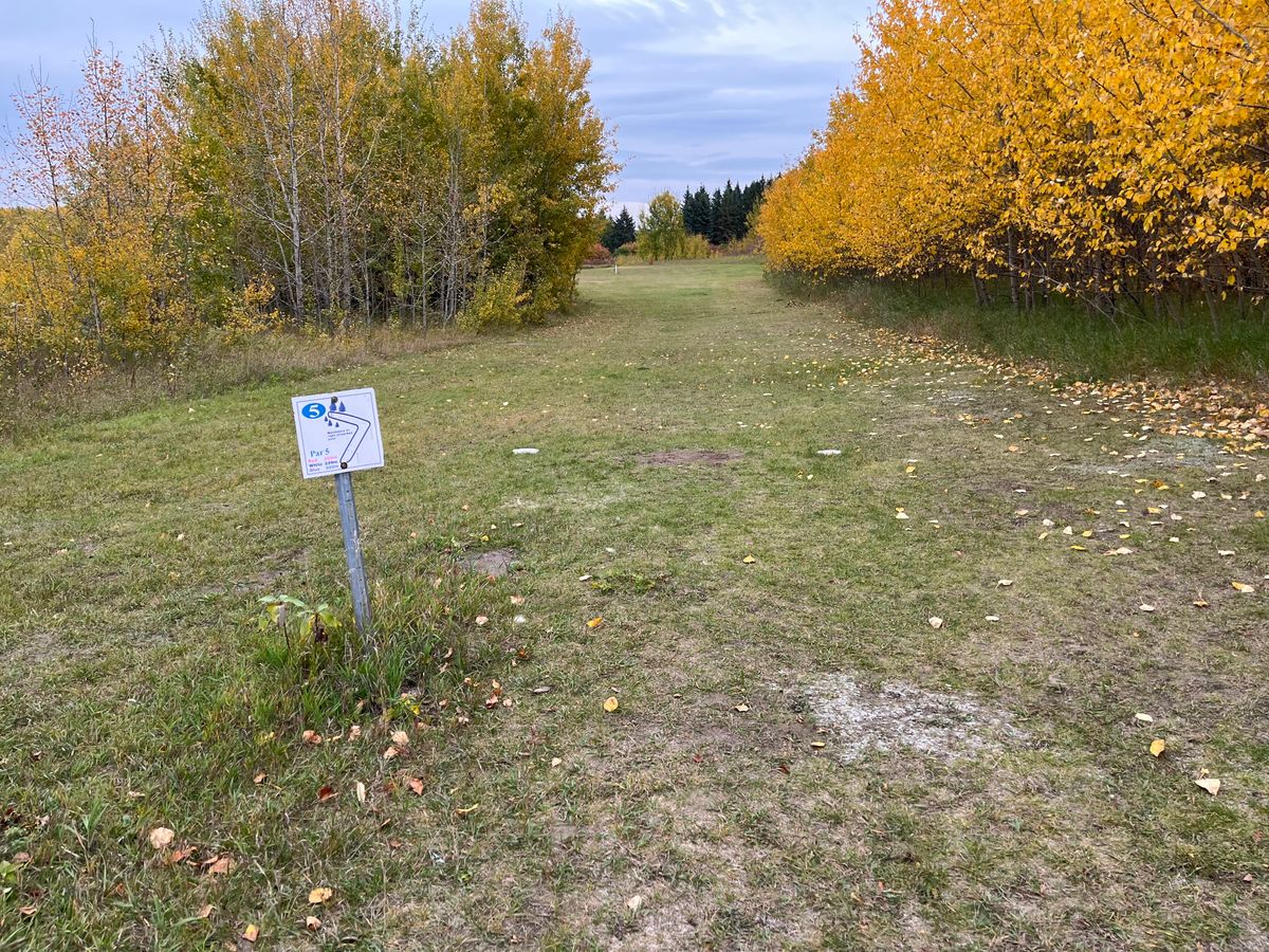 Hole 5