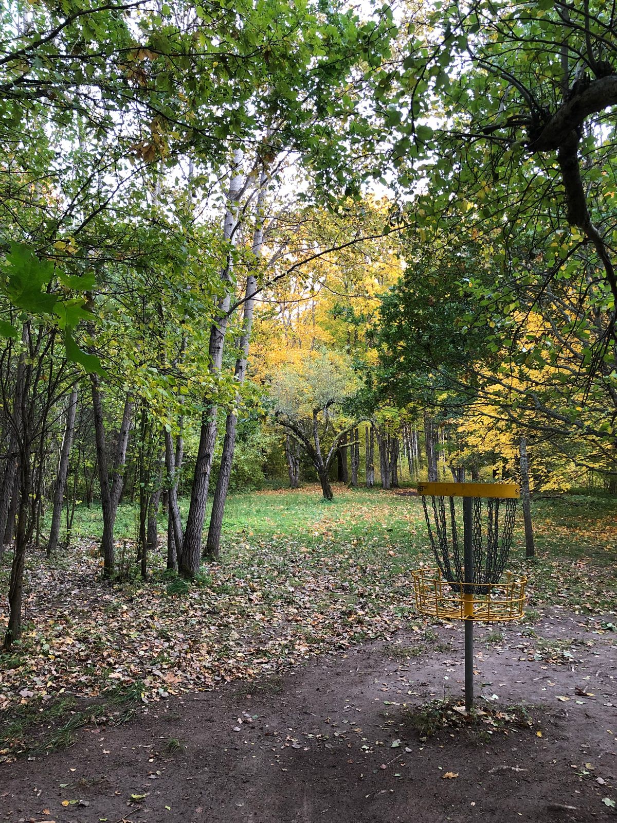 13 green