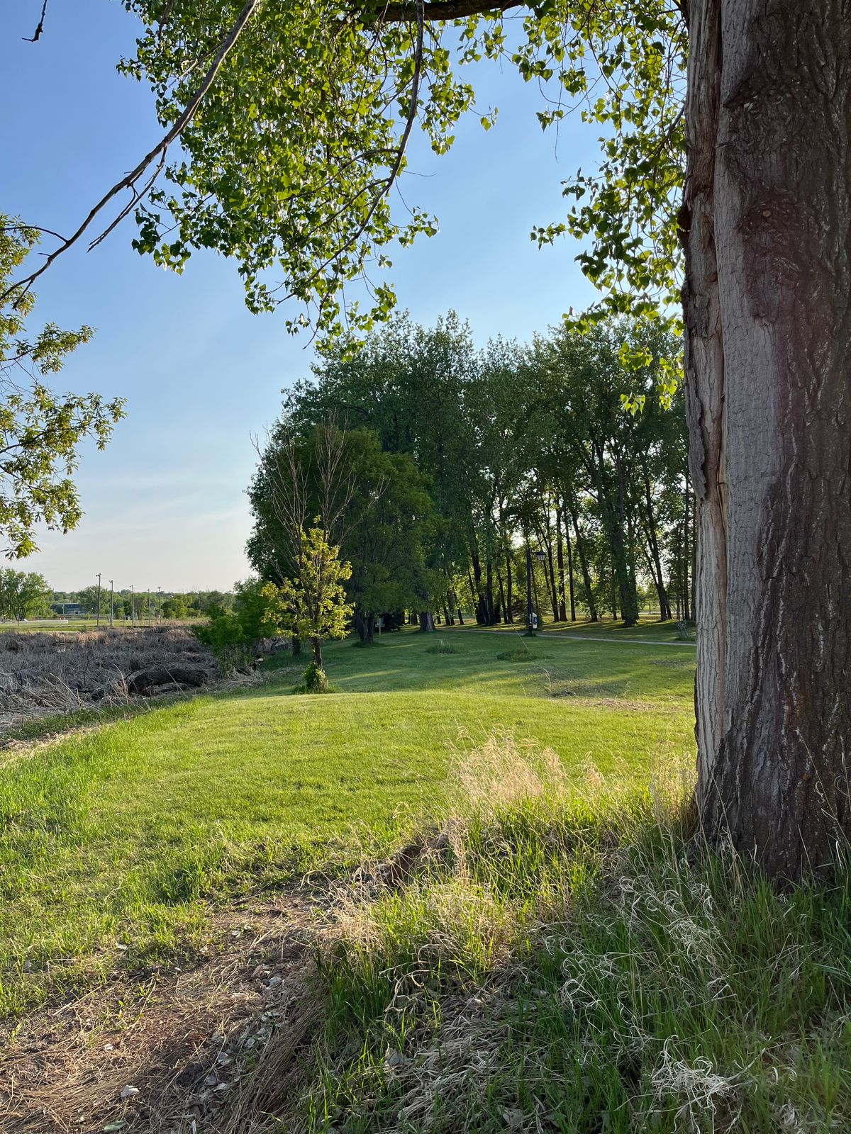 Hole 4 red tee