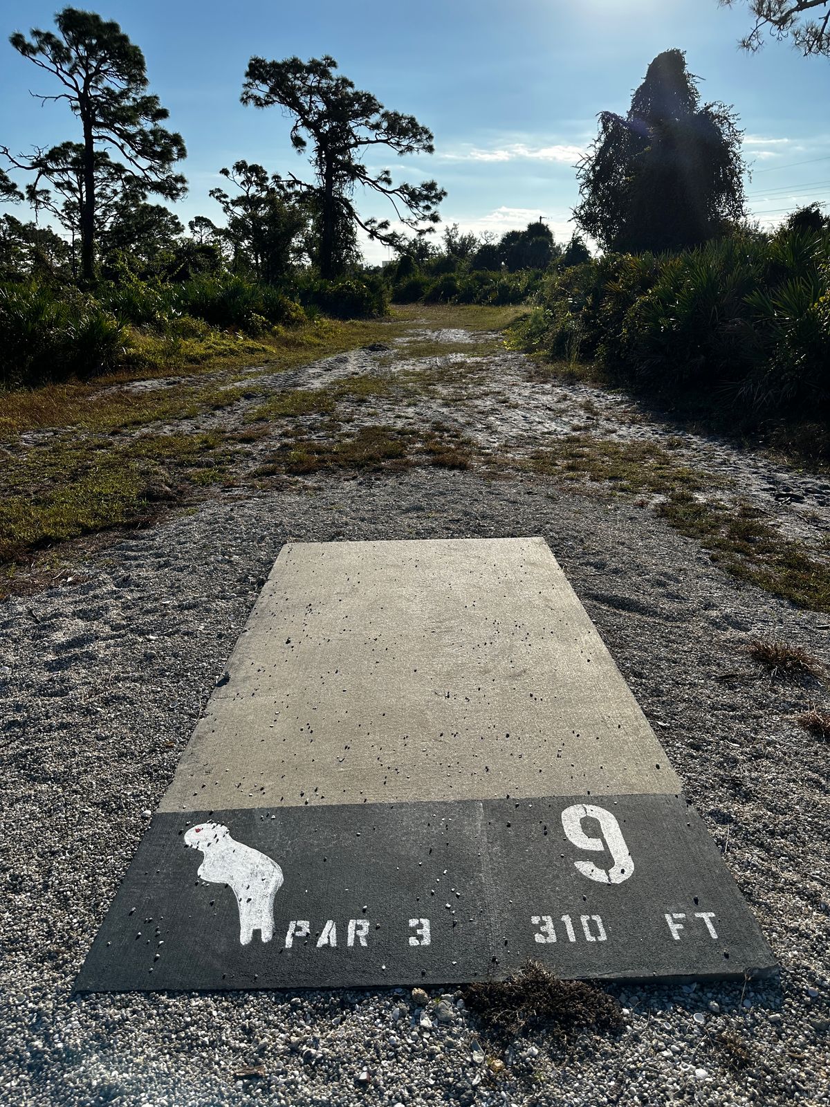 Current tee location 10/2025. 315 ft to basket from front of tee