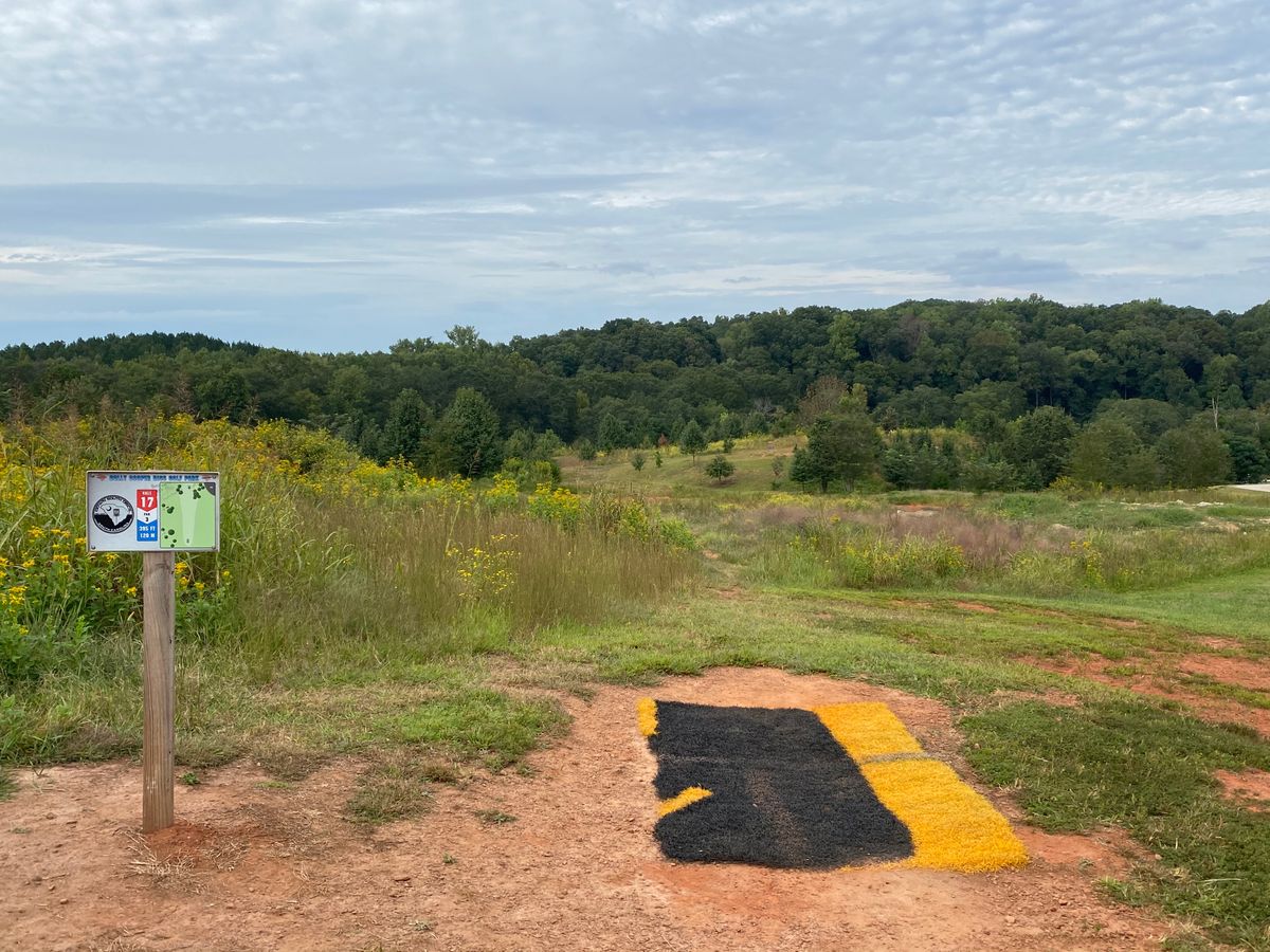 Hole 17 great mid range shot.